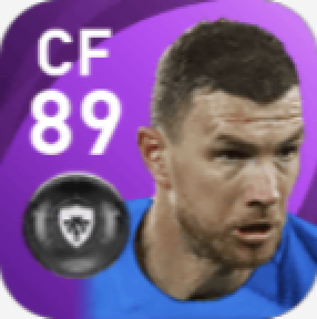 FPエディン・ジェコ(2/17)の画像