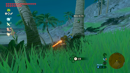 ヨロイカブトの場所①