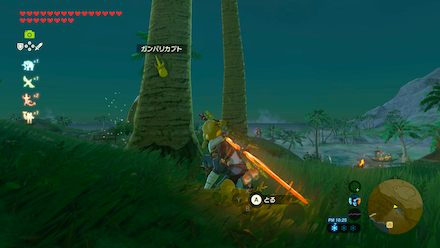 ガンバリカブトの場所