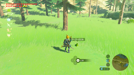 ゴーゴーガエルの場所