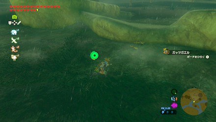 ガッツガエルの場所