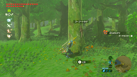 ゴーゴートカゲの場所