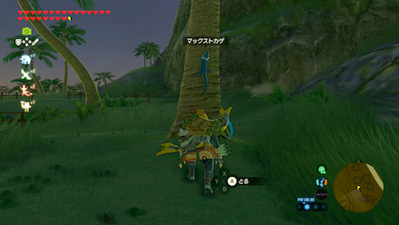 マックストカゲの場所