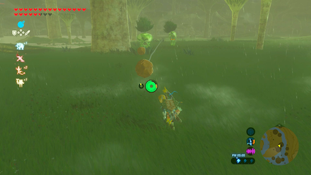 オクタの出現場所①