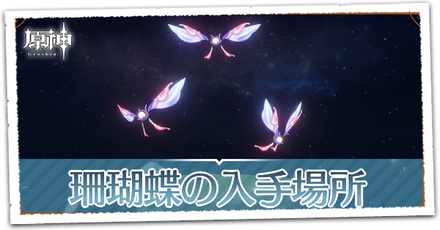 珊瑚蝶パーシャル