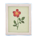 しゃしんたてのホワイトウッドの画像