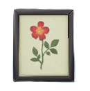 しゃしんたてのブラックの画像