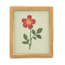 しゃしんたてのナチュラルの画像