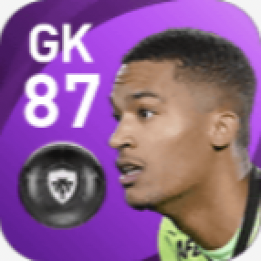 FPアルバン・ラフォン(2/24)の画像