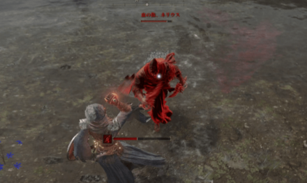 共闘してネリウスを倒す