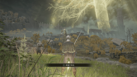 広大なフィールド