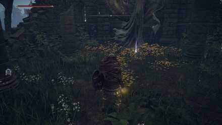 カルの洗礼教会