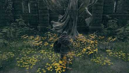 第四マリカ教会