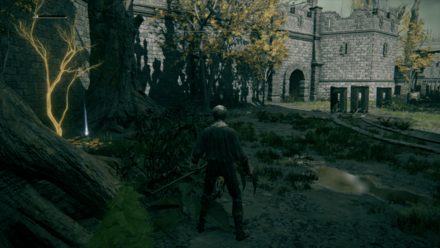 黄金の種子の場所