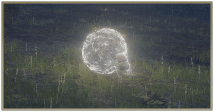 スカラベの場所