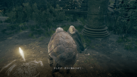 直接レベル上げ