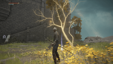 黄金の種子の場所