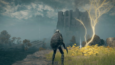 黄金の種子の場所