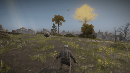 リムグレイブのスカラベ