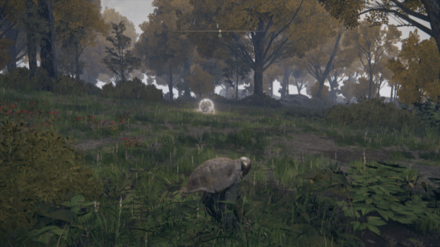 リムグレイブのスカラベ