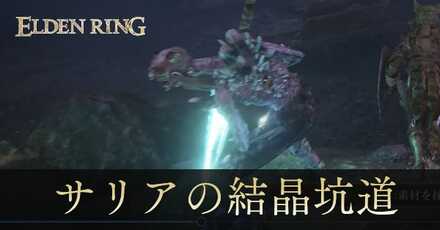 サリアの結晶坑道