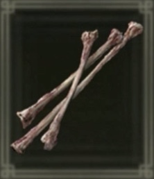 細い獣骨画像