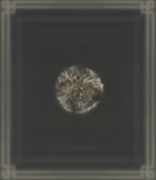 黄金のルーン【2】画像