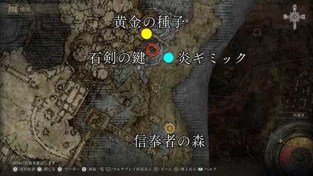 信奉者の森マップ