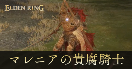貴腐騎士の攻略と出現場所
