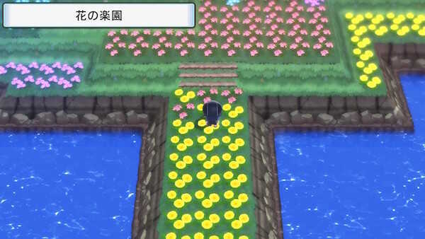 花の楽園へ向かう