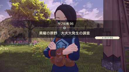 任務を達成するとサブ任務96を受注できる