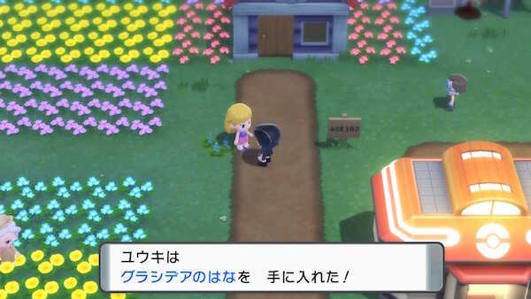 グラシデアの花の入手