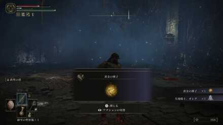 黄金の種子入手画像