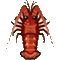 イセエビ画像