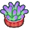 イソギンチャク画像