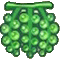 ウミブドウ画像