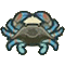 ガザミ画像