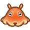 メンダコ画像