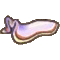 ヒラムシ画像