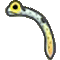 チンアナゴ画像