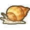 バイガイ画像