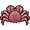 タラバガニ画像