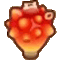 ホヤ画像