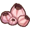 フジツボ画像