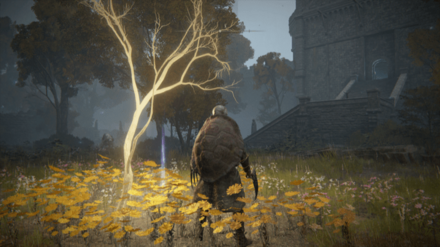 黄金の種子の場所