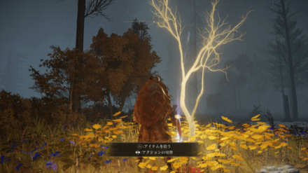 黄金の種子の場所