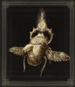 金のスカラベ画像