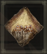 信徒の誓布画像