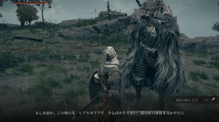 霧の森の廃墟のマップ