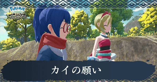 カイの願い攻略